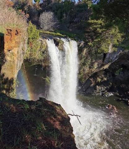 Saltos y senderos cerca de Río Bueno